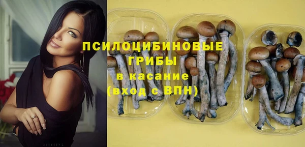 эйфоретик Абаза