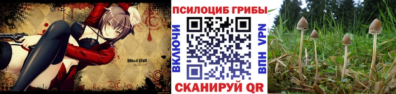 Псилоцибиновые грибы Psilocybine cubensis  Удомля 